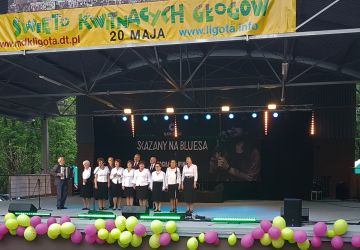 ŚWIĘTO KWITNĄCYCH GŁOGÓW 2017 - 2